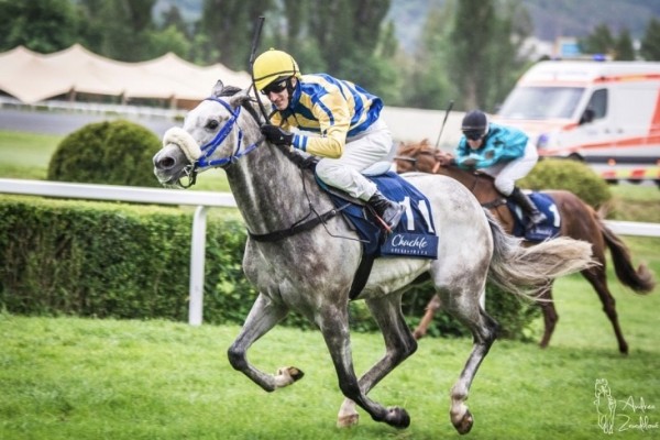 Nogar druhý ve Velké Chuchli Nogar druhý ve Velké Chuchli