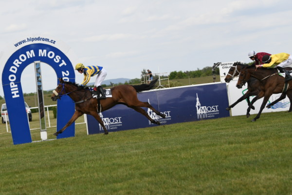 Grigri de Lancray vítězí v Mostě První vítězství Grigriho de Lancray