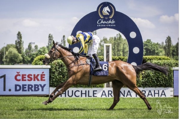 Grigri de Lancray vítězí ve Zlatém poháru